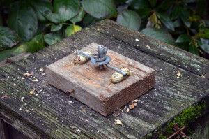 008-mangiatoia